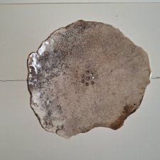 20250814_101734_web